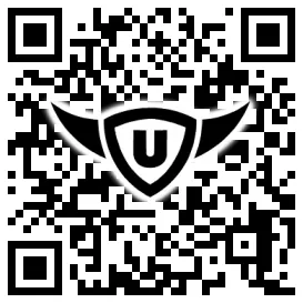 QR-Code Stonies