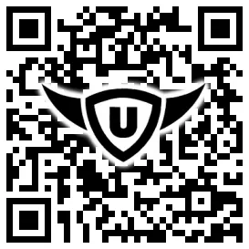 QR-Code Stonies